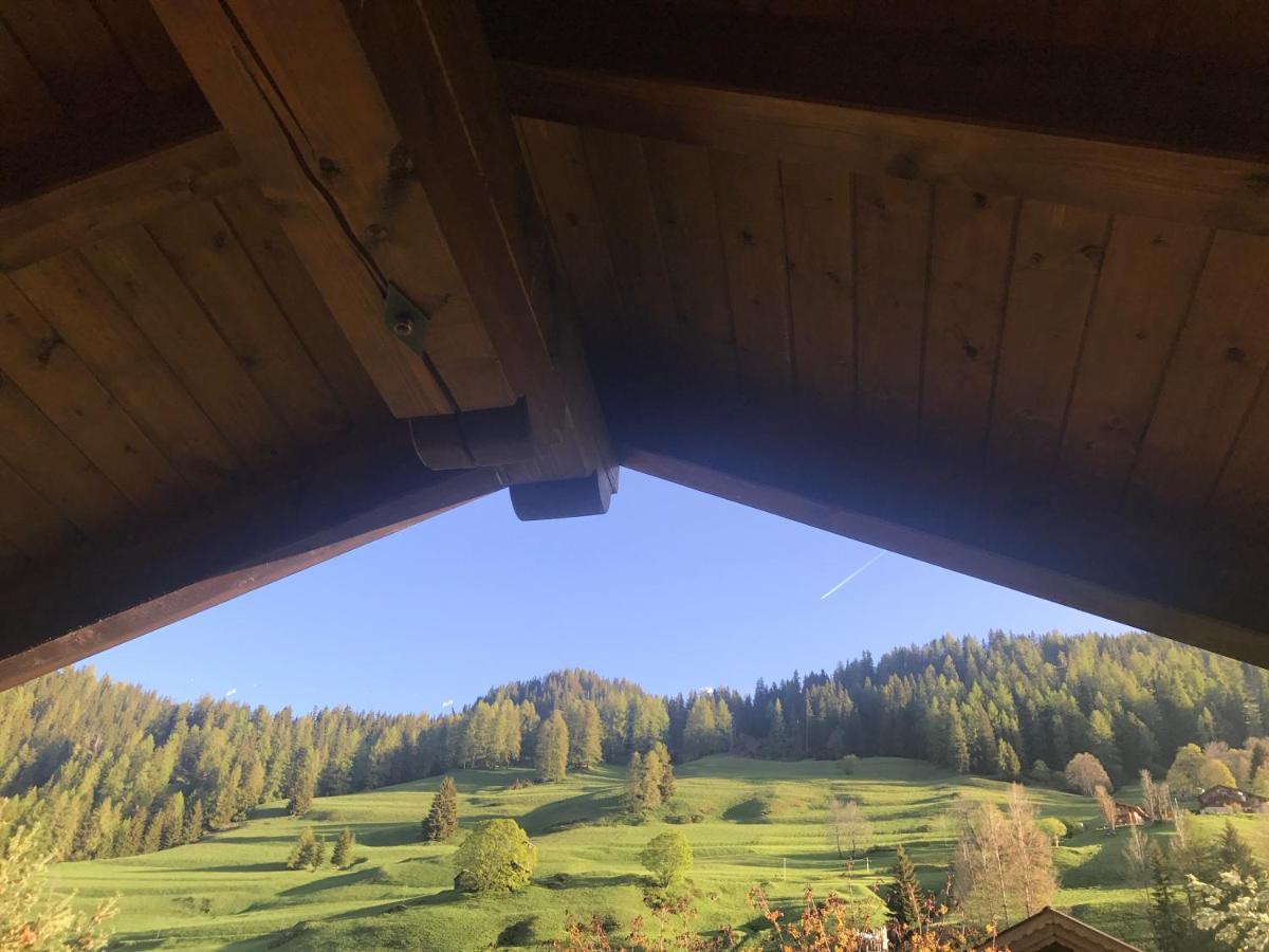 Apartament Cesa Mandi E Miky Canazei Zewnętrze zdjęcie
